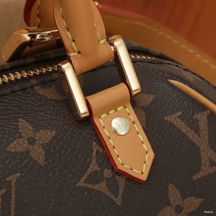 2207YA0003 LV Bag 0712